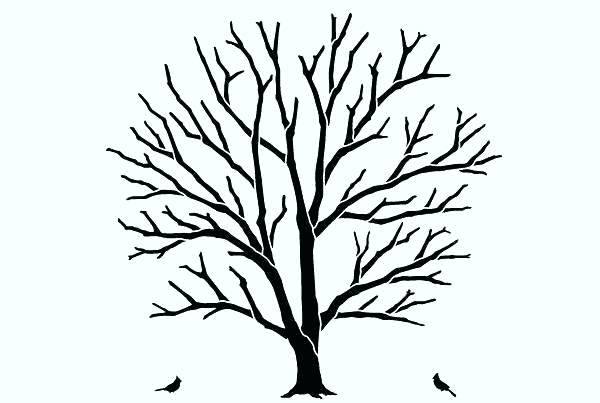 600x403 Pine Tree Outline