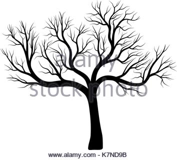354x320 Silhouette Bare Oak Tree Icon Stock Vector Art Amp Illustration