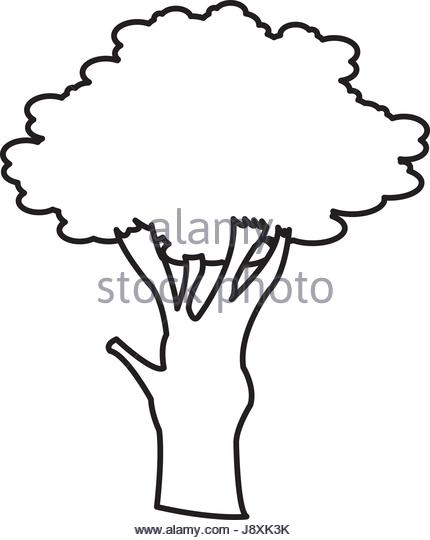 Hickory Tree Silhouette at GetDrawings | Free download