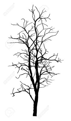 236x401 Elm Tree Silhouette Warrior Elm Tree, Tree