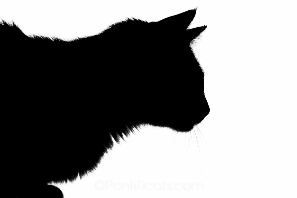 1000x667 Pontificats Silhouette