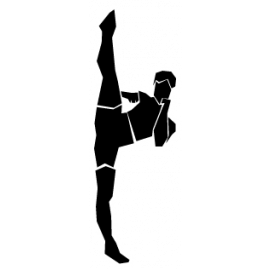 270x270 Martial Arts