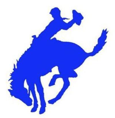 400x413 Freer High School