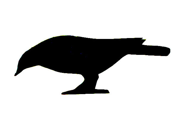 600x400 Naturemapping Products