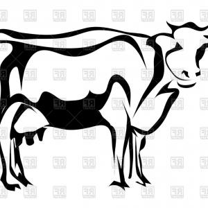 300x300 Chic Highland Cow Silhouettes Vector File Svg Lazttweet