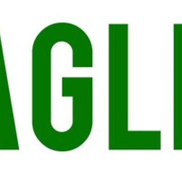 360x360 Hillary Most Popular Superlative Classic T Shirt By Itsmebecca