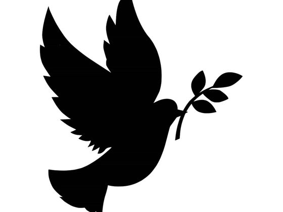 560x420 What's Your Inner Hippie Name Playbuzz