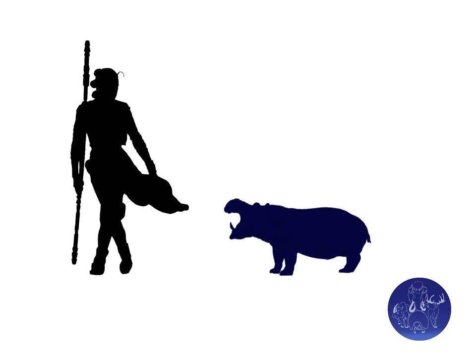 960x720 Island Hopping Hippos Twilightbeasts