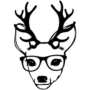 300x300 Silhouette Design Store