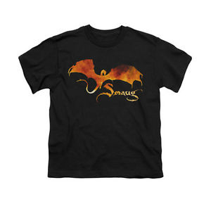 300x300 The Hobbit The Battle Of Five Armies Smaug Fire Silhouette Youth