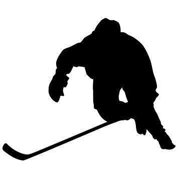 355x355 Hockey Wall Sticker Decal 11