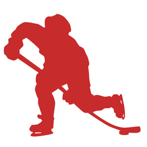 300x300 Silhouette Design Store