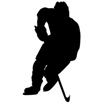 350x350 Hockey Wall Sticker Decal 5