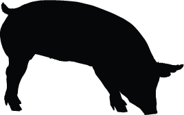 268x168 Pig Silhouette Clip Art Many Interesting Cliparts