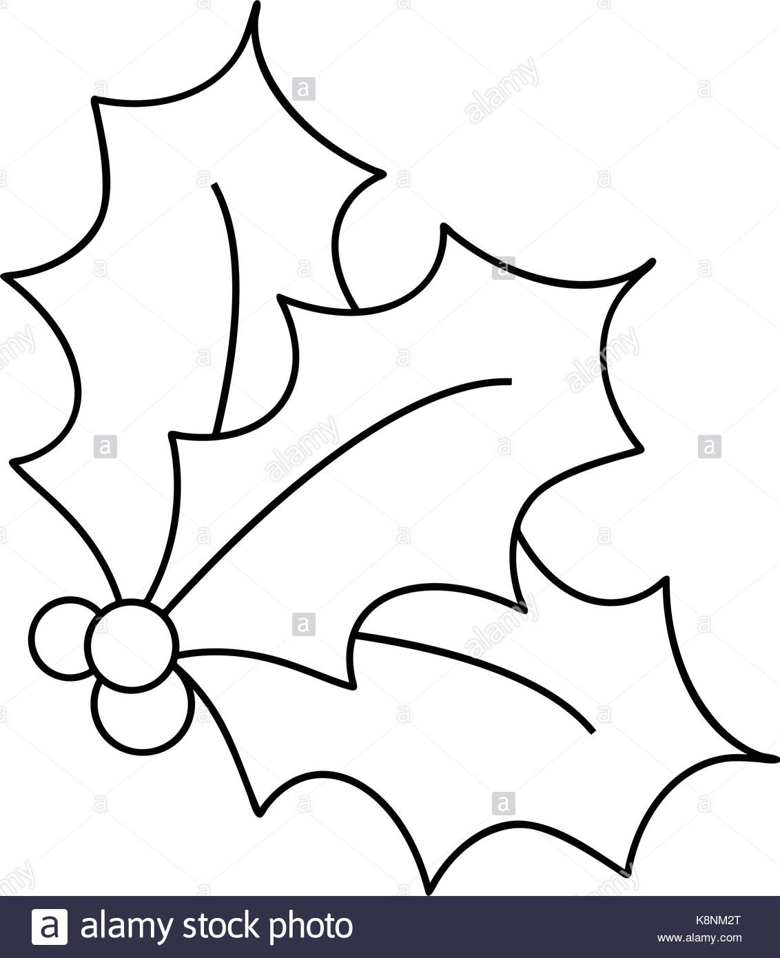 1132x1390 Holly Berry Silhouette, Christmas Leaves And Fruits Icon, Symbol