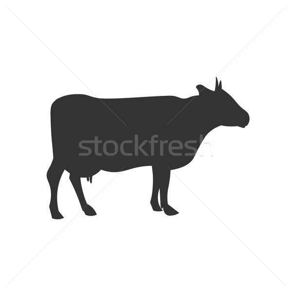600x600 Cow Stock Vectors, Illustrations And Cliparts Stockfresh