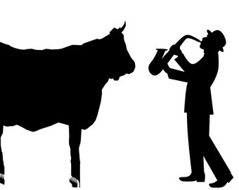 340x270 Cow Silhouette Etsy