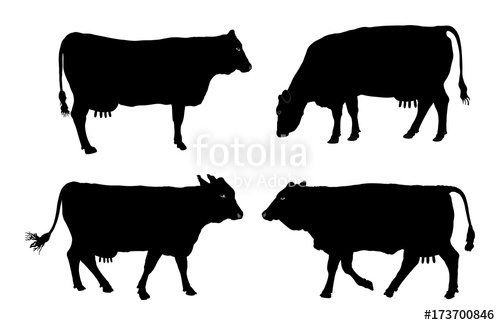 500x325 Group Of Cow Vector Silhouette Illustration. Stock Image