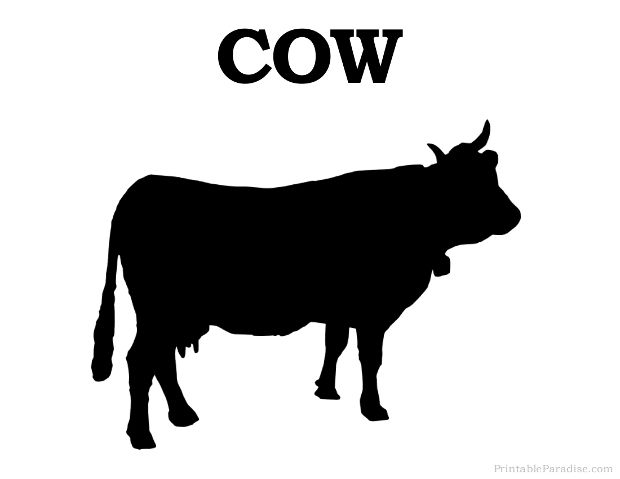 620x479 Vector Cow Silhouette Print