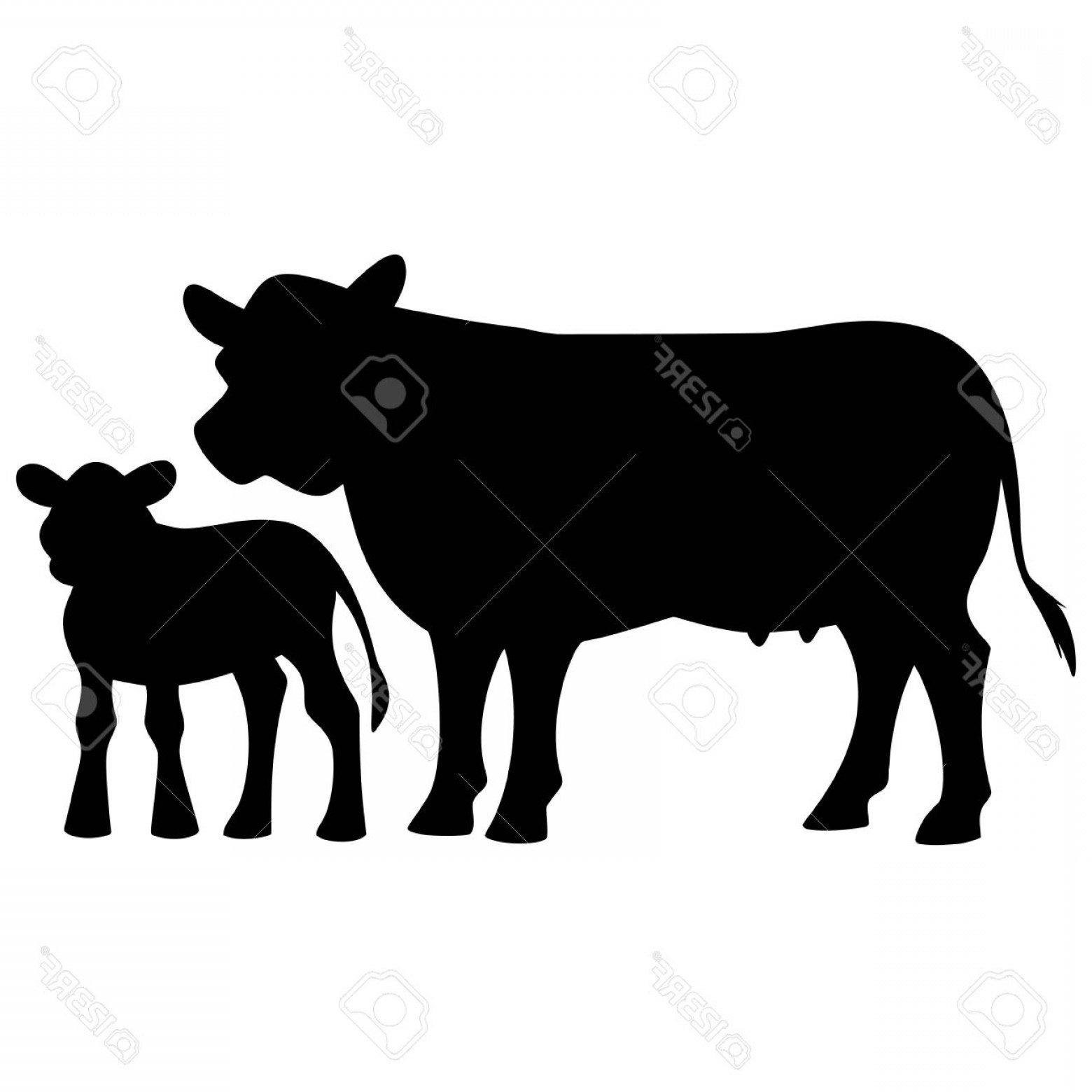 1560x1560 Calf And Cow Silhouette Vector Arenawp