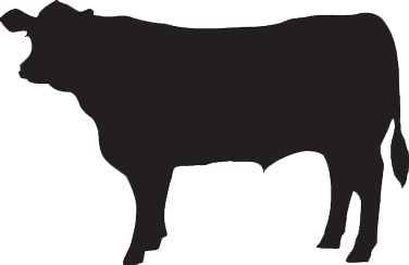 376x244 Cattle Clipart Cow Outline