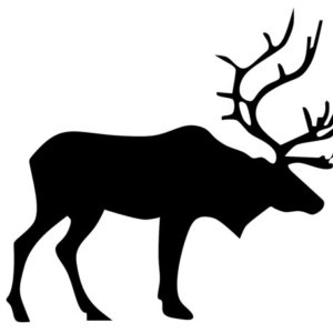 300x300 Silhouette Stickers Etsy