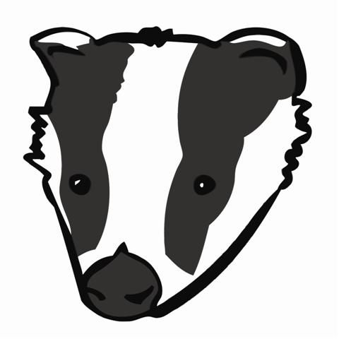 480x480 Badger Clipart Face