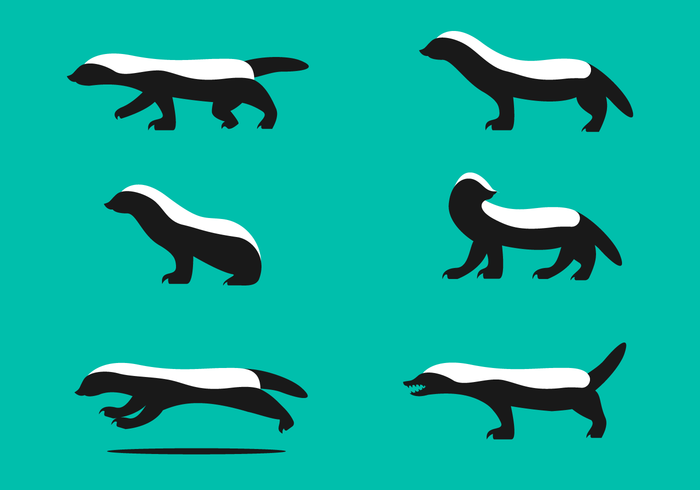 700x490 Honey Badger Vector