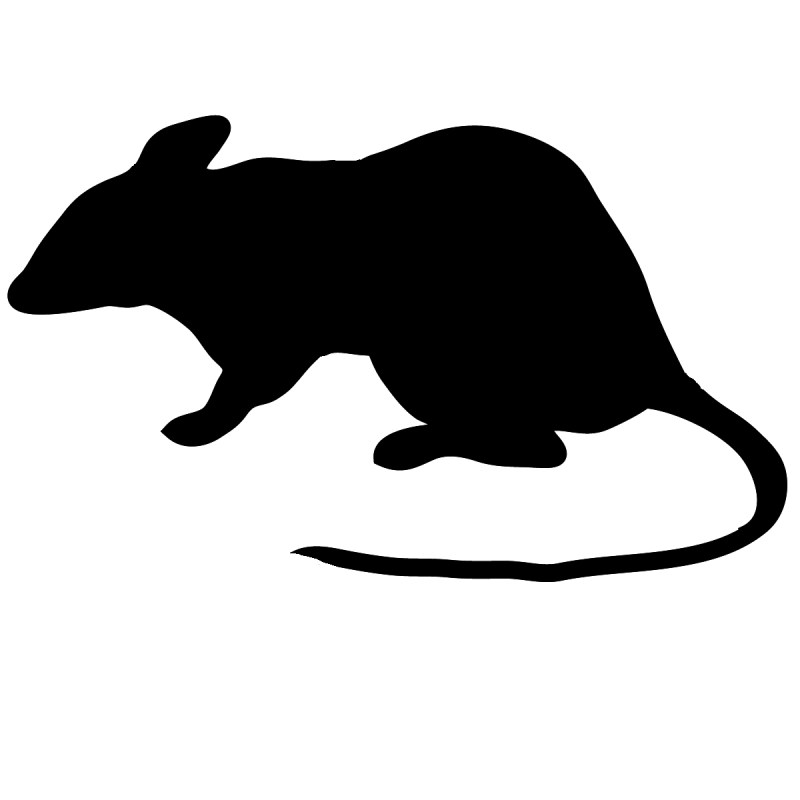 800x800 Chikai Silhouette Hoodie Apparel Shop 1st Great Bentley