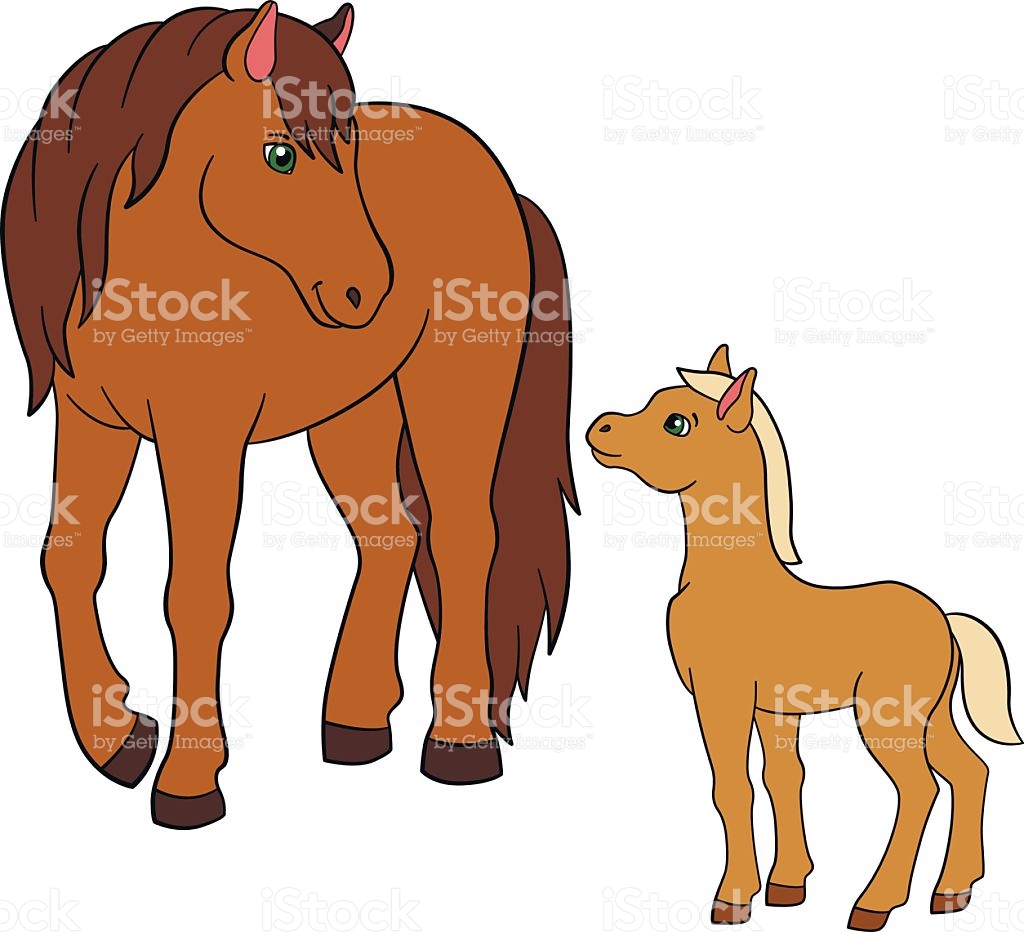 1024x932 Foal Clipart Animal