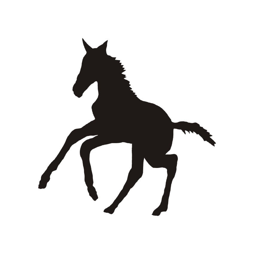 850x850 Foal Vector Vectors, Photos, Background, Psd Files