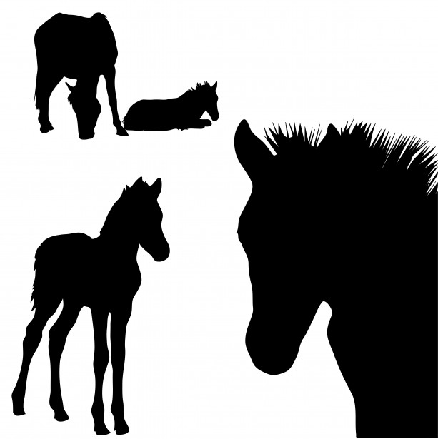 613x615 Horse Silhouettes Clipart Free Stock Photo