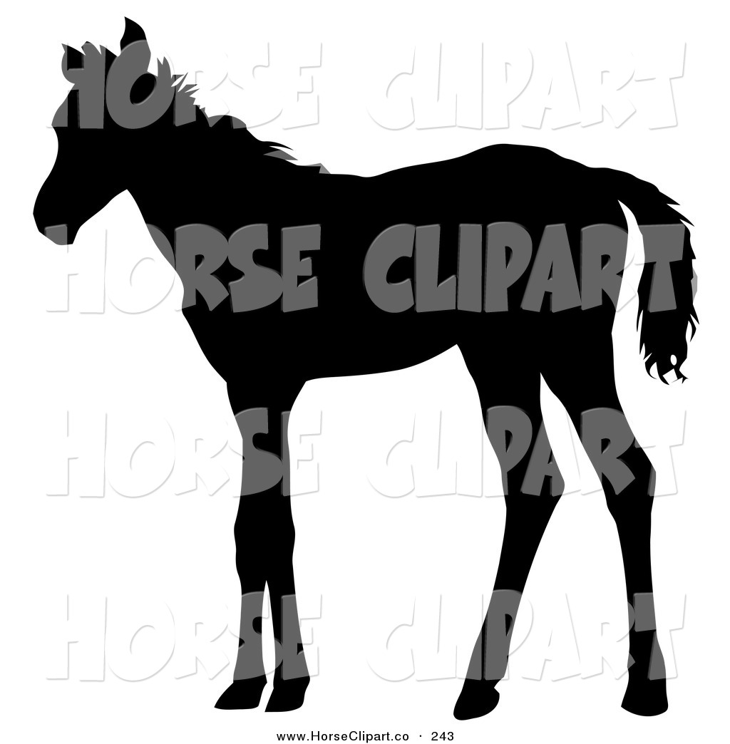1024x1044 Royalty Free Silhouette Stock Horse Designs