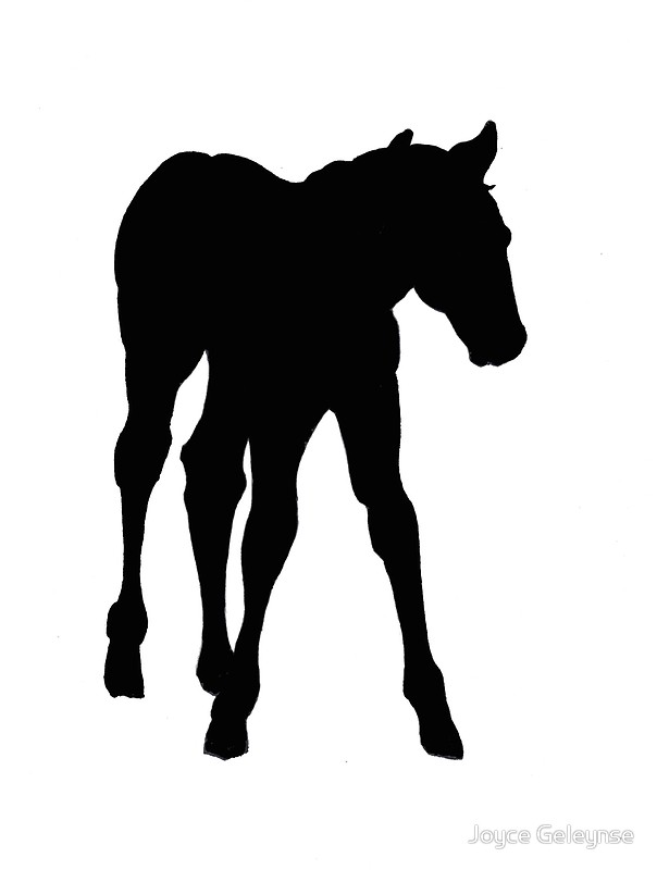 604x800 Baby Horse, Silhouette, Horse, Foal, Drawing Posters By Joyce
