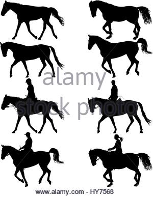 300x387 Rearing Up Horse Fine Vector Silhouette And Outline