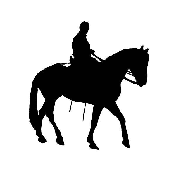 660x660 Silhouette Of A Rider