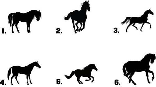 501x281 Horse Silhouette
