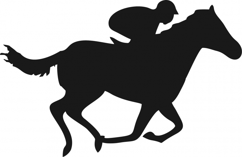 800x517 Horse With Jockey Silhouettes Laser Cut Appliques