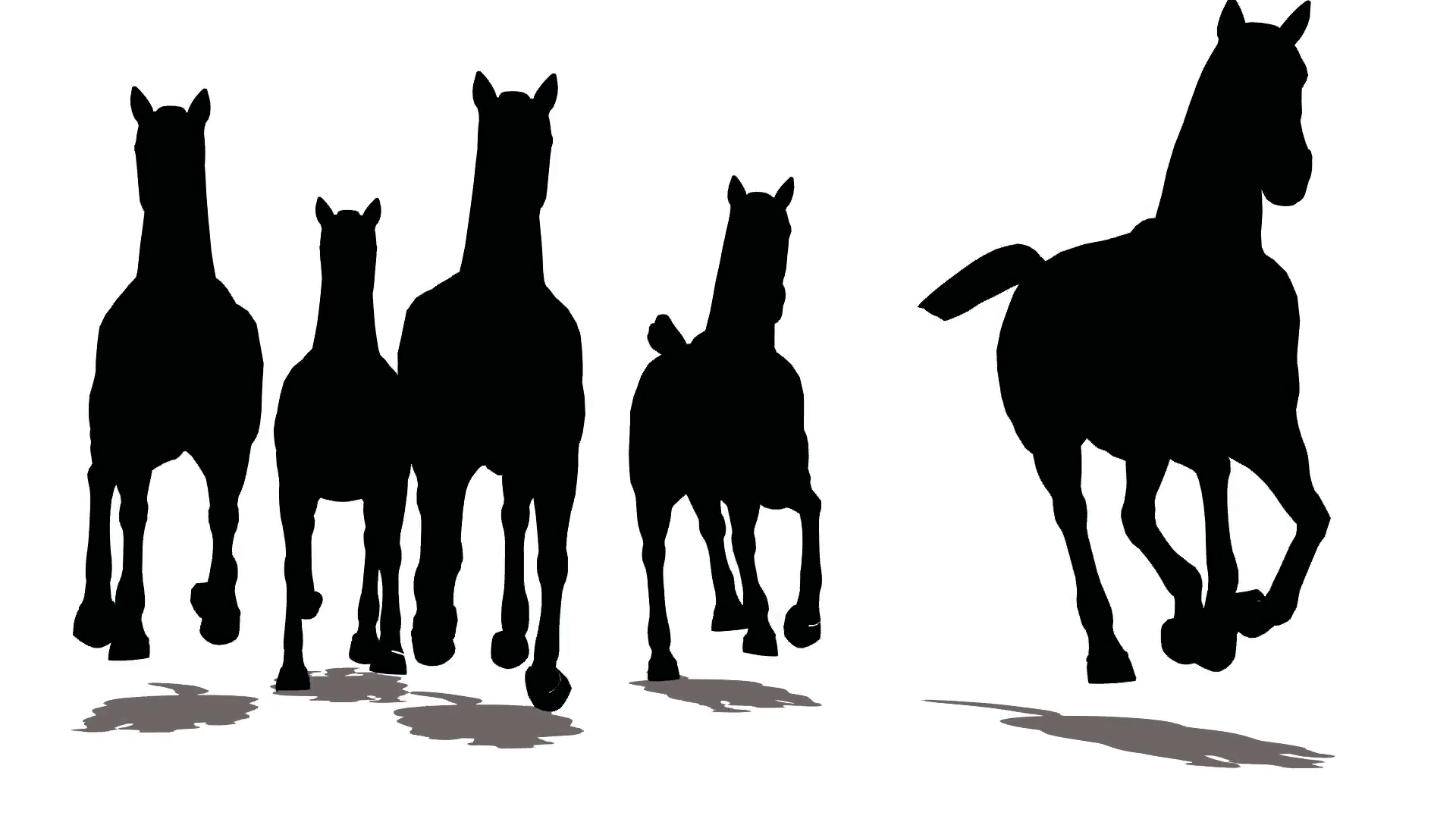 1920x1080 Run Of Small Herd Of Horses, Black Silhouette On White Background
