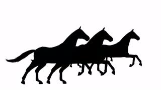 320x180 Animated Galloping Horse Silhouette Motion Background