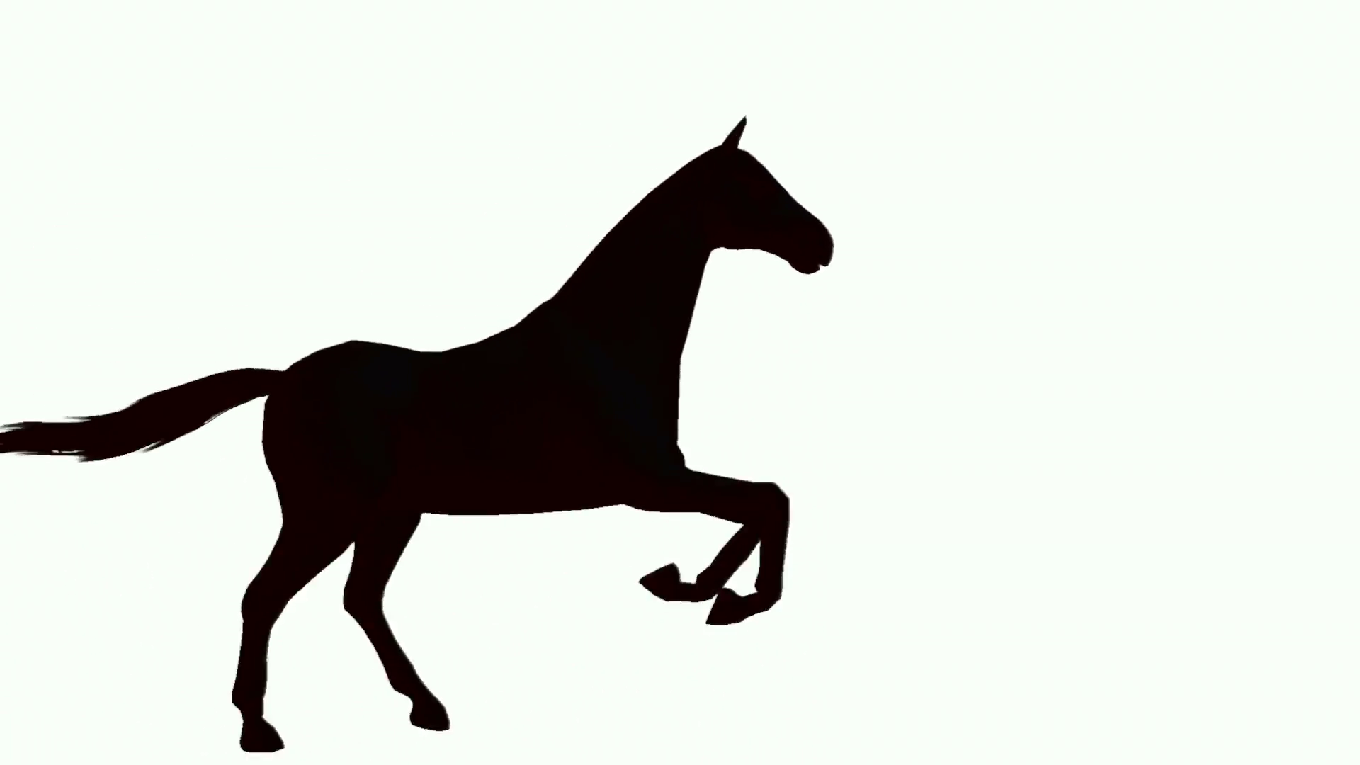 1920x1080 Silhouette Of Horse Galloping Across The Screen Motion Background