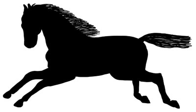 400x229 Of Horse Galloping