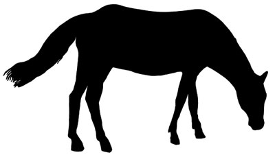 400x229 Grazing Clip Art