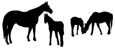 400x171 Grazing Silhouette