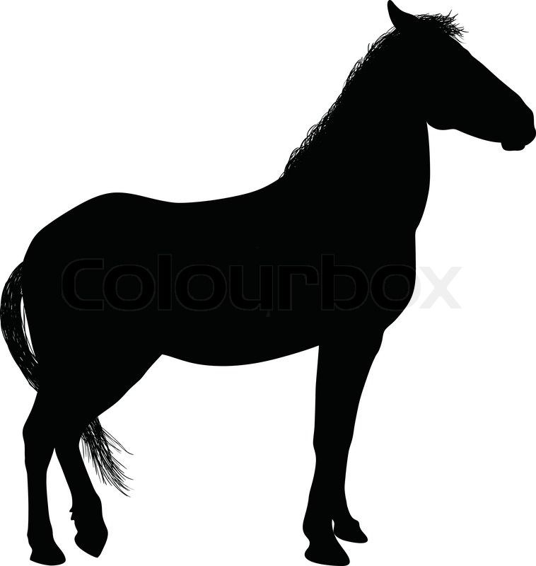 758x800 3446471 Horse Silhouette.jpg Pixels Horse Study Unit