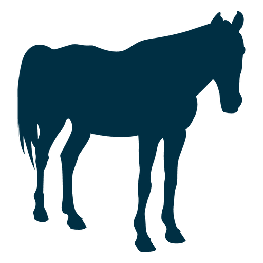 512x512 Horse Still Silhouette