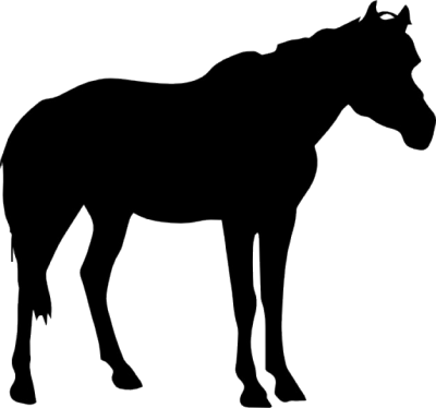 Horse Grazing Silhouette at GetDrawings | Free download