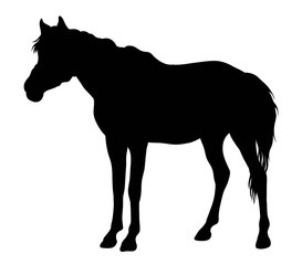 273x240 Horse Silhouette Photos, Royalty Free Images, Graphics, Vectors