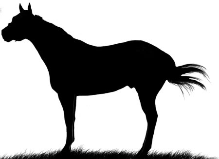 450x327 Horse Horse Clipart