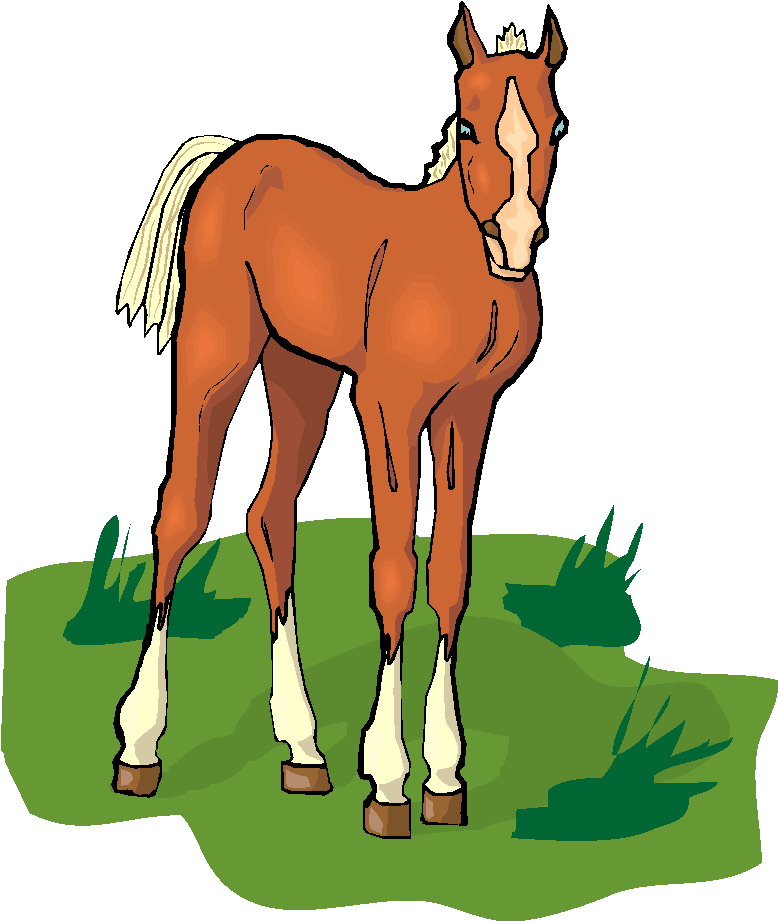 778x921 Foal Clipart Head